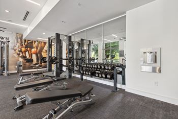 Free weights area